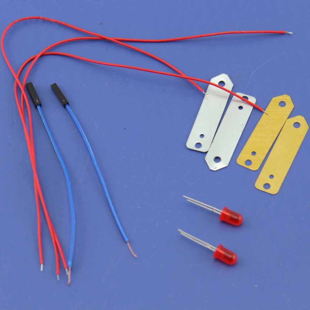 Experiment Power Generation Model From Fruit Electrical Generation