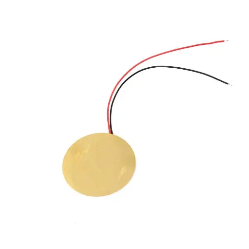 [99187499] Buzzer Piezo Ceramic Wafer Plate (Without Cover)